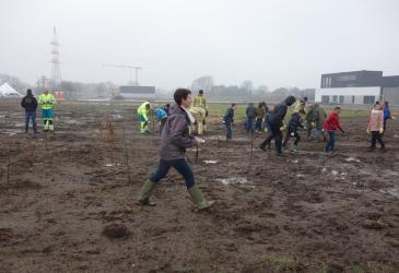 CO2-bufferbos in Neerpelt