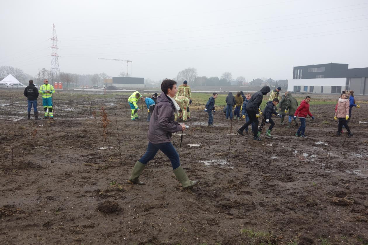 CO2-bufferbos in Neerpelt