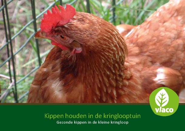 Kippen houden in de kringlooptuin. Gezonde kippen in de kleine kringloop